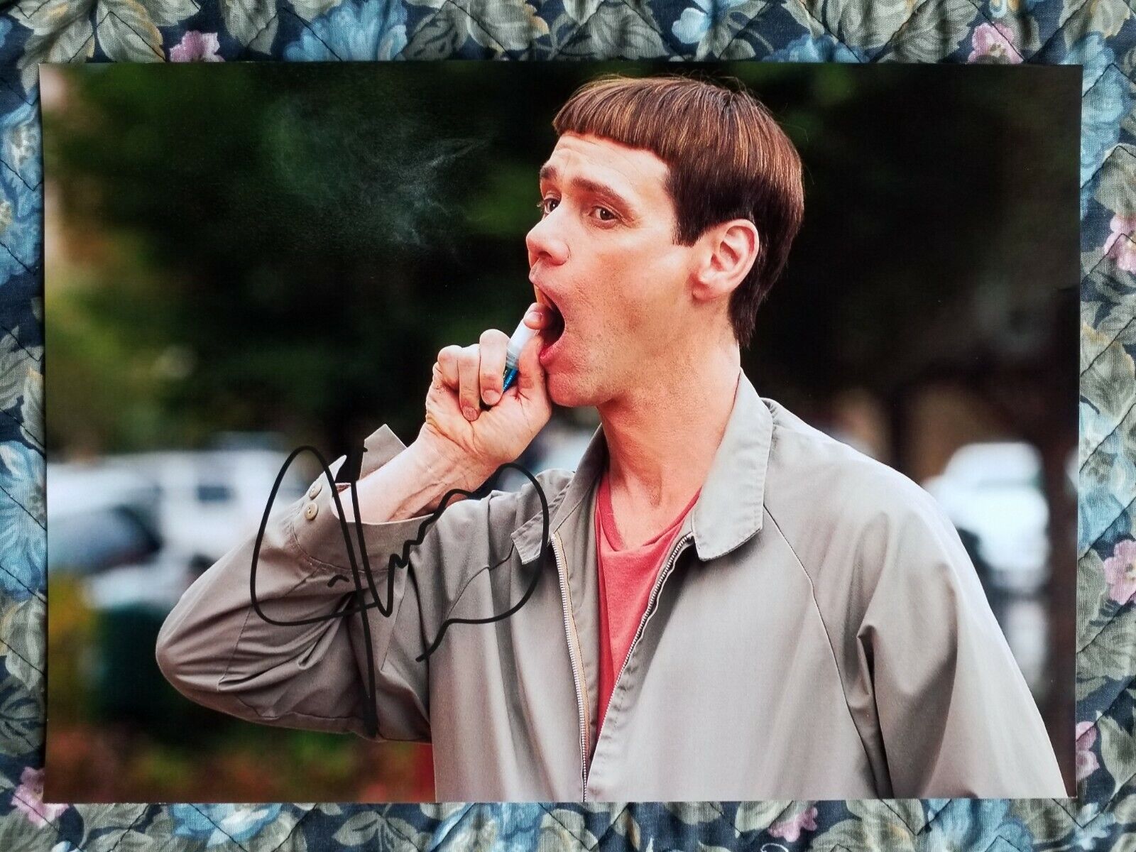 Jim Carrey Authentic Signed Autographed 'Dumb and Dumber' 8.2 x 11.7 Photo Poster painting