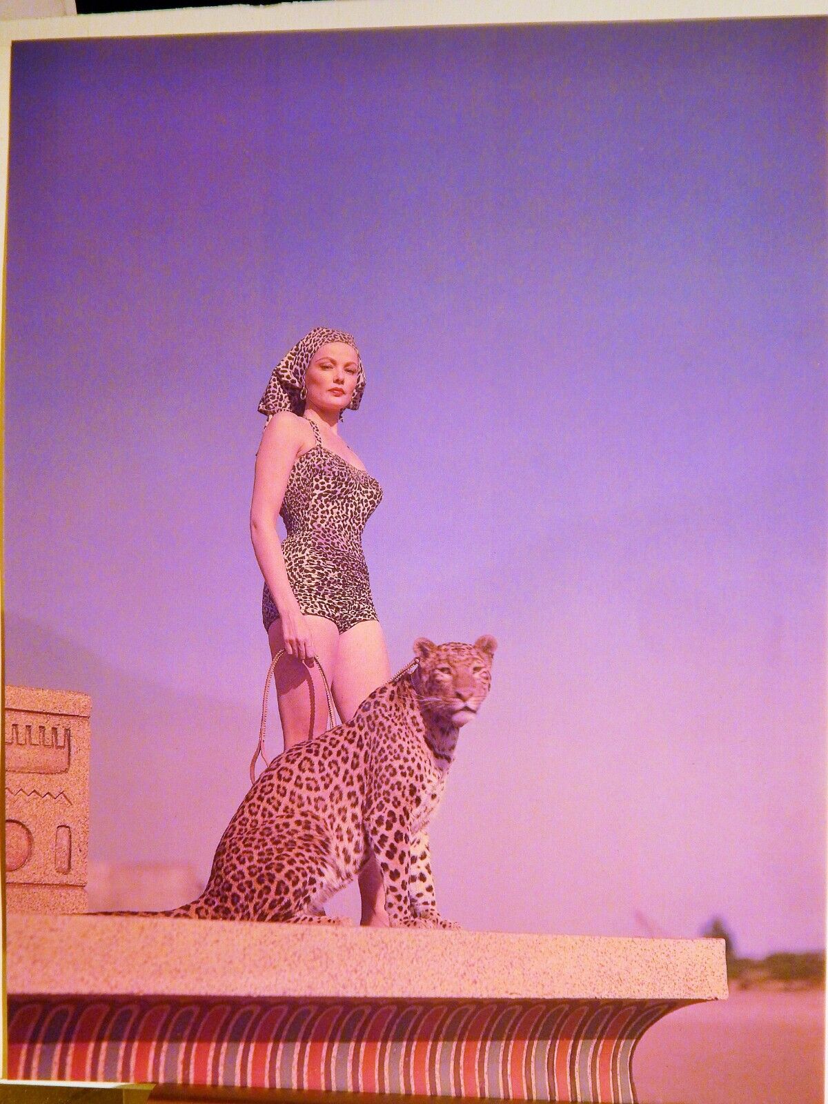 GENE TIERNEY 1954 / MARION CARR 1954 PUBLICITY Photo Poster painting HI-DEF(1987 reprint)