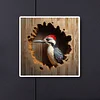 Diamond Painting-DIY Full Round Drill Woodpecker Baby(35x35cm)
