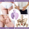 Hip and Pelvis Trainer for Women ,Thigh Master, Inner Thigh Exercise Equipment ,Pelvic Floor strengthening Device Women ,Thigh Master Thigh Exerciser
