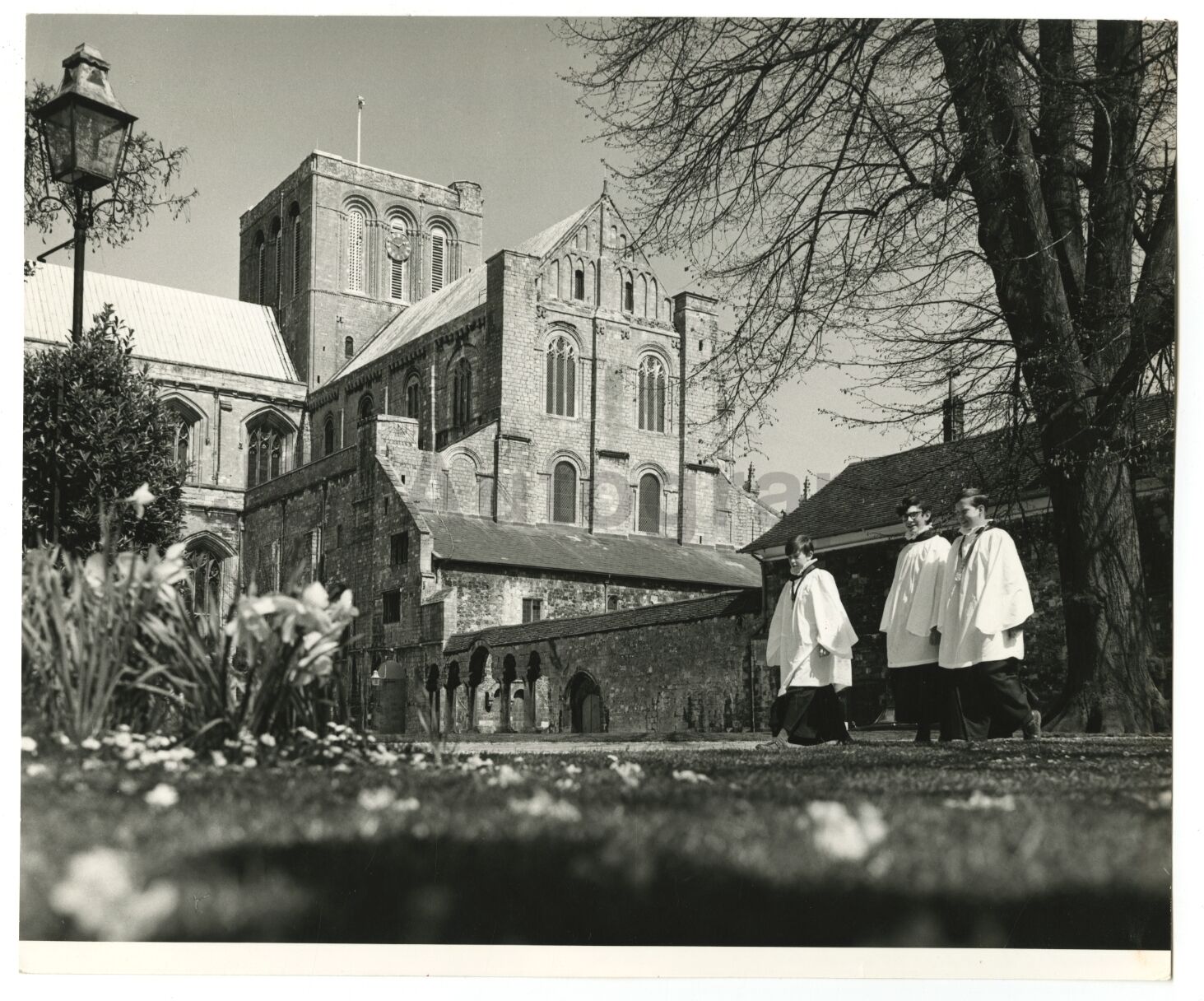 Winchester Cathedral - Vintage Publication Photo Poster paintinggraph - England