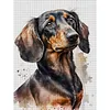 Dachshund Dog-11CT Stamped Cross Stitch 40*53cm tapestrymarket