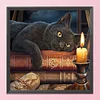 Black Cat-11CT Stamped Cross Stitch 40*40cm/15.75*15.75in