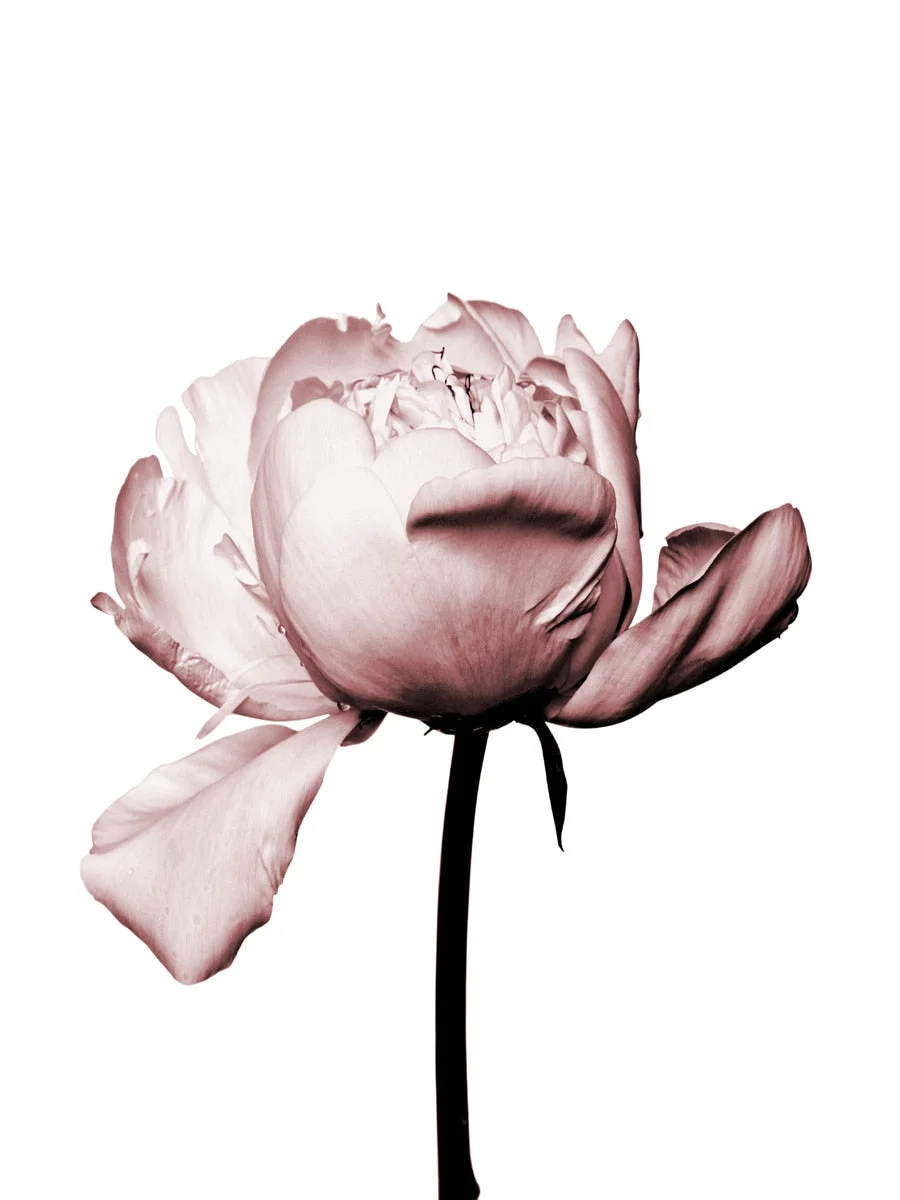 Islamic Wall Art Canvas Mural Muslim Poster Arabic Pink Floral Print Hanging Painting Modern Mosque Minimalist Quote Room Decor 515