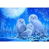 Diamond Painting -5D Full Round Drill Owl