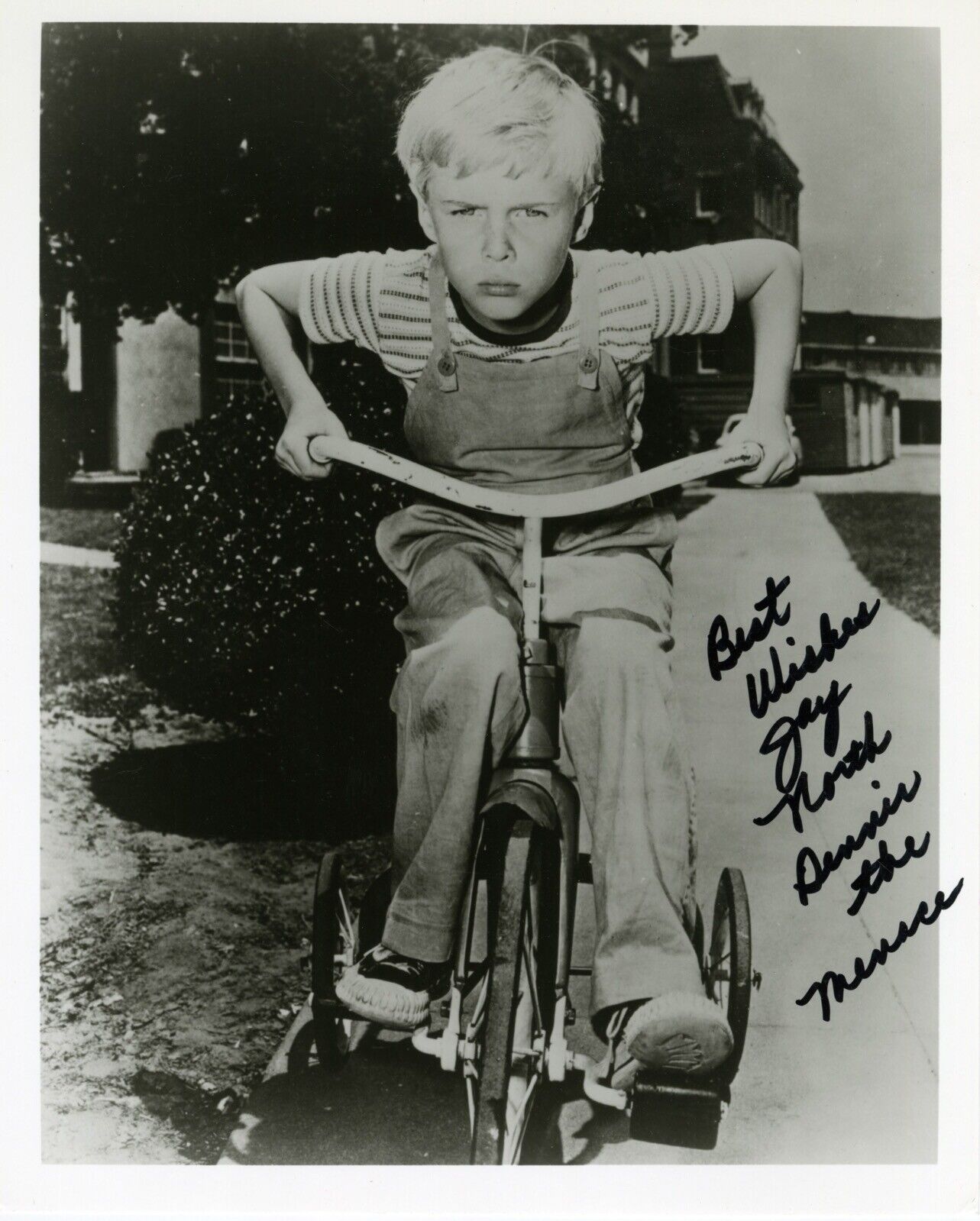 Dennis the Menace actor Jay North signed 8x10 Photo Poster painting