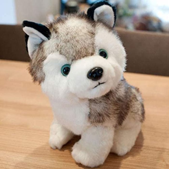 Cute Plush Husky Toys for Kids