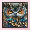[Brand]Owl - 14CT Stamped Cross Stitch - 41*41cm