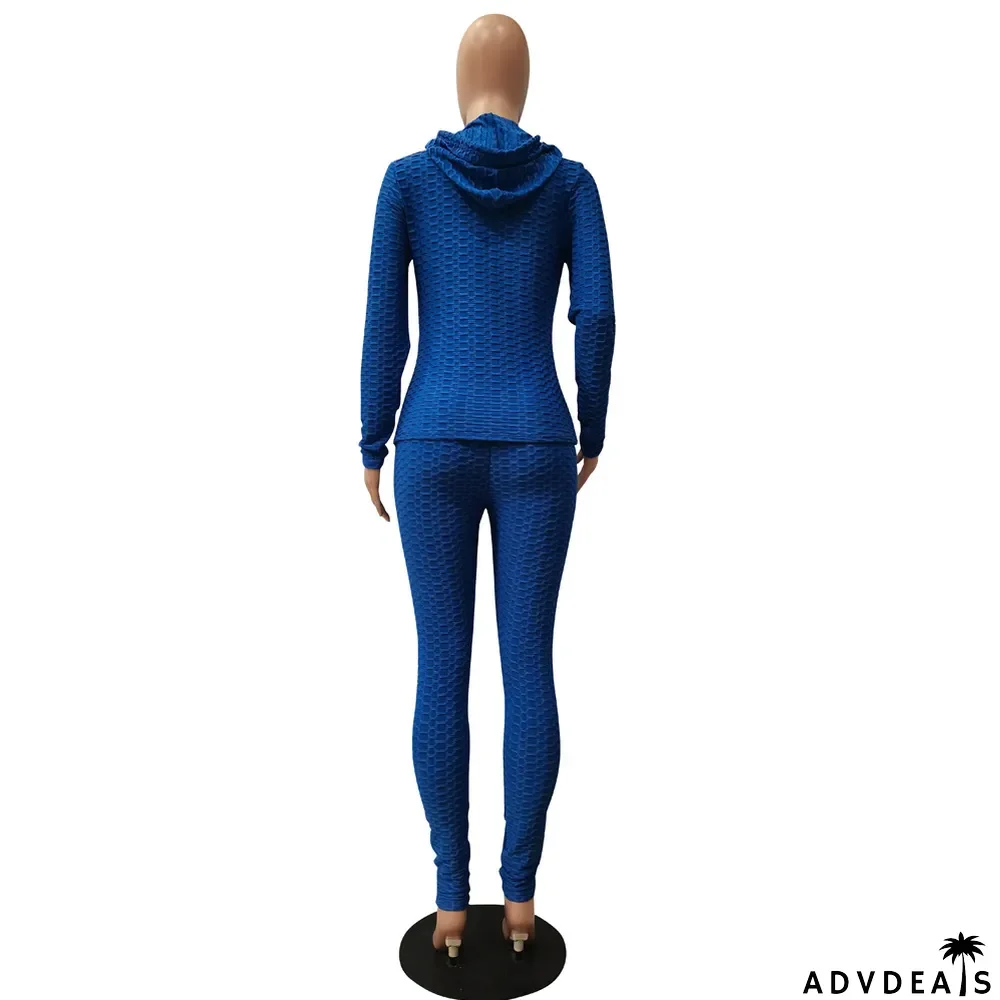 Solid Hooded Long Sleeve Zipper 2 Piece Pants Set