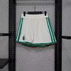 Joyfball 2026 Player Version Algeria National Team Home Football Shorts