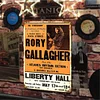 Rory Gallagher - Vintage Metal Signs - 20*30cm/30*40cm - Music