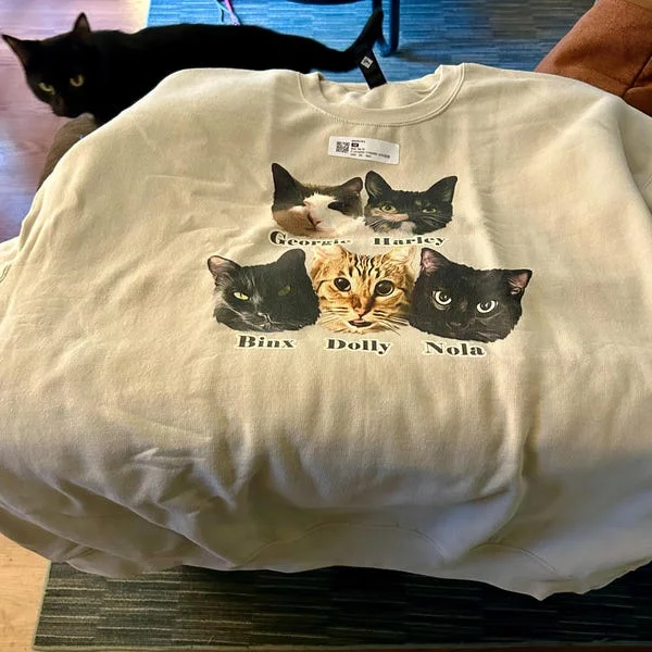 Custom Pet Portrait Illustration T-Shirt, Custom Pet Name Sweatshirt Hoodie