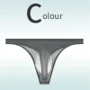 Low Rise Sexy Ice Silk Transparent Ultra Thin Seamless Thong