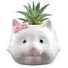 [US Local Warehouse] Cat Ceramic Succulent Pot Bonsai Container Resin with Drain Hole for Home Office