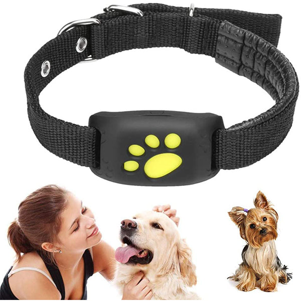 Smart GPS Cat and Dog Collar Tracker