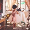 Kids Clothes Princess Girl Cute Lace Events Party Dress - honeylives