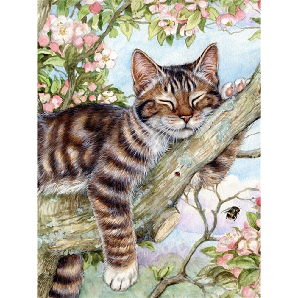 

Sleeping Cat - Square Drill Diamond Painting - 30*40CM, 501 Original