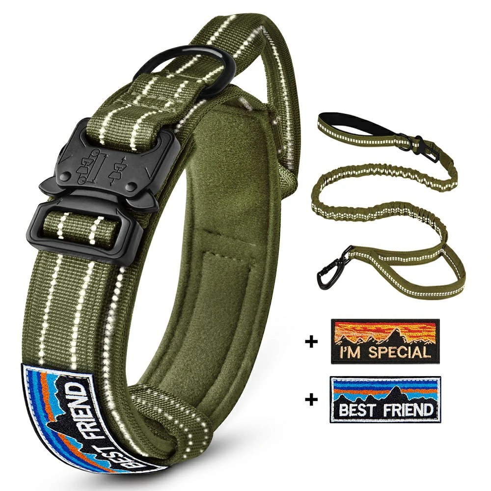 Illuminate Your Night Walks with Tactical Dog Collar & Leash Set!