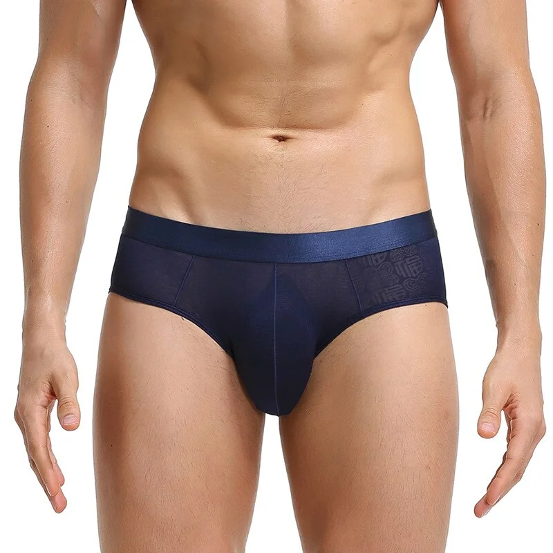 Aonga Super Soft Underwear Ice Silk Sheer Transparent Mesh Men's Briefs Printed Shorts Comfortable  Exotic Low-Waist Underpants