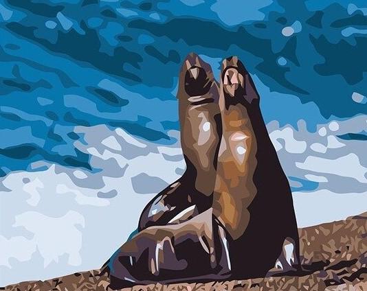 

Seals Couple – Paint By Numbers - 40*50CM, 501 Original