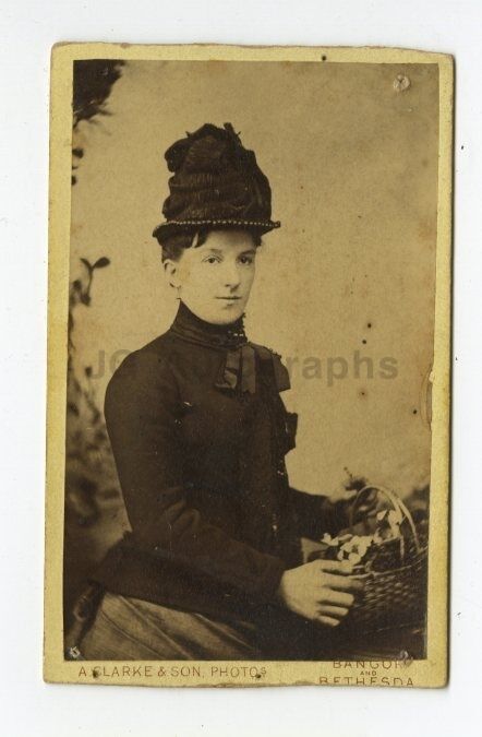 19th Century Fashion - 19th Century Carte-de-visite Photo Poster paintinggraph - North Wales