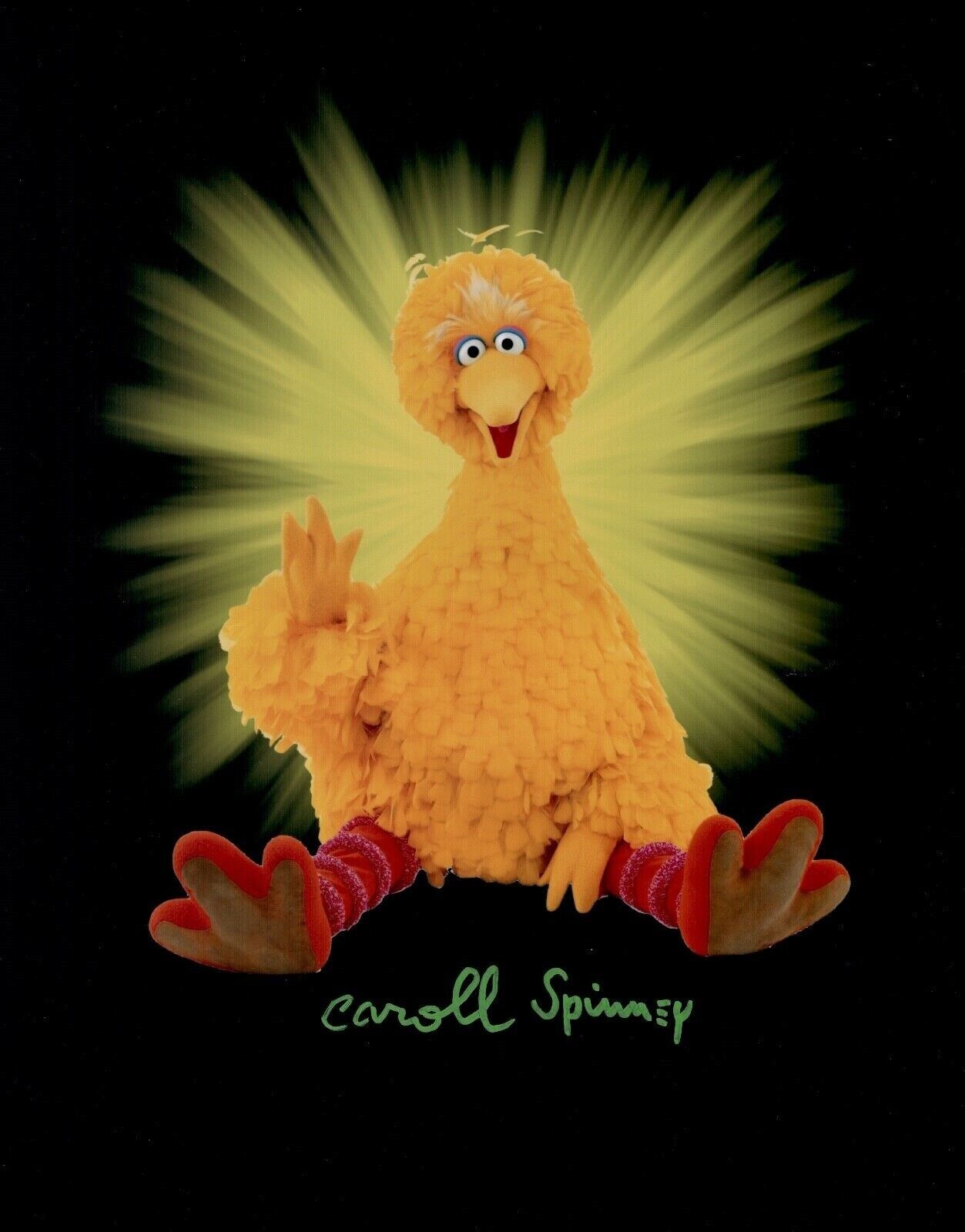 Caroll Spinney / Big Bird Autographed Signed 8x10 Photo Poster painting ( Sesame Street) REPRINT