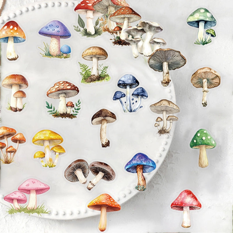 1 Set Mushroom Learning PET Cute Stickers
