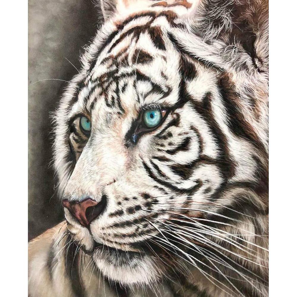 

Tiger - Round Drill Diamond Painting - 30x40cm, 501 Original