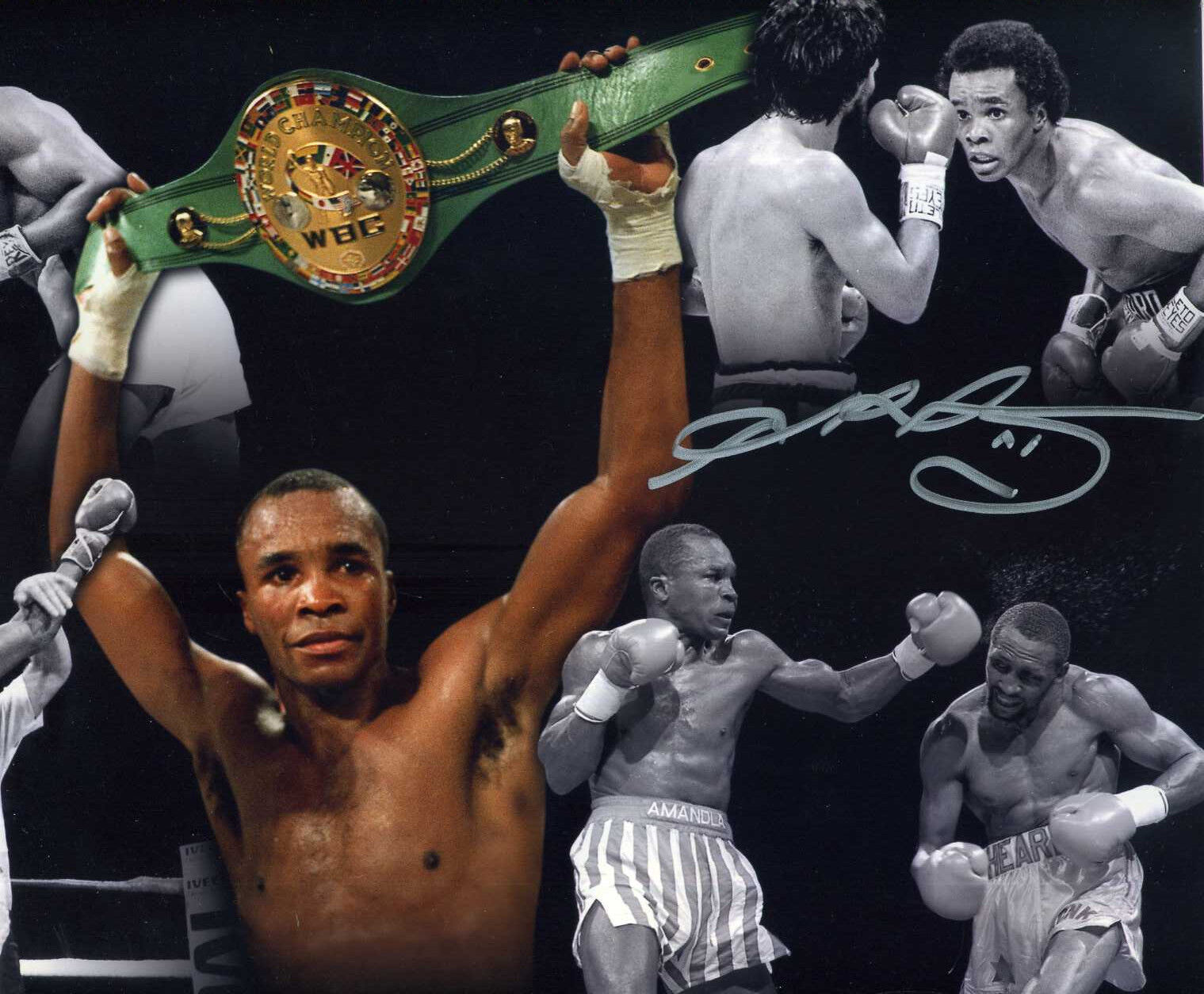 SUGAR RAY LEONARD Signed Photo Poster paintinggraph - World BOXING Champion 5 Divisions Preprint