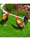 2PCS Chicken Sculpture Ornamental Rooster Decor Garden Statue Acrylic for Easter