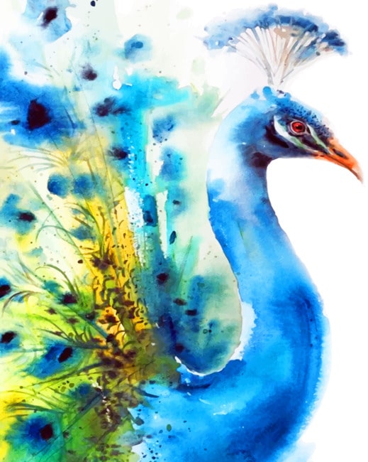 

Aesthetic Peacock – Paint By Numbers - 40*50CM, 501 Original