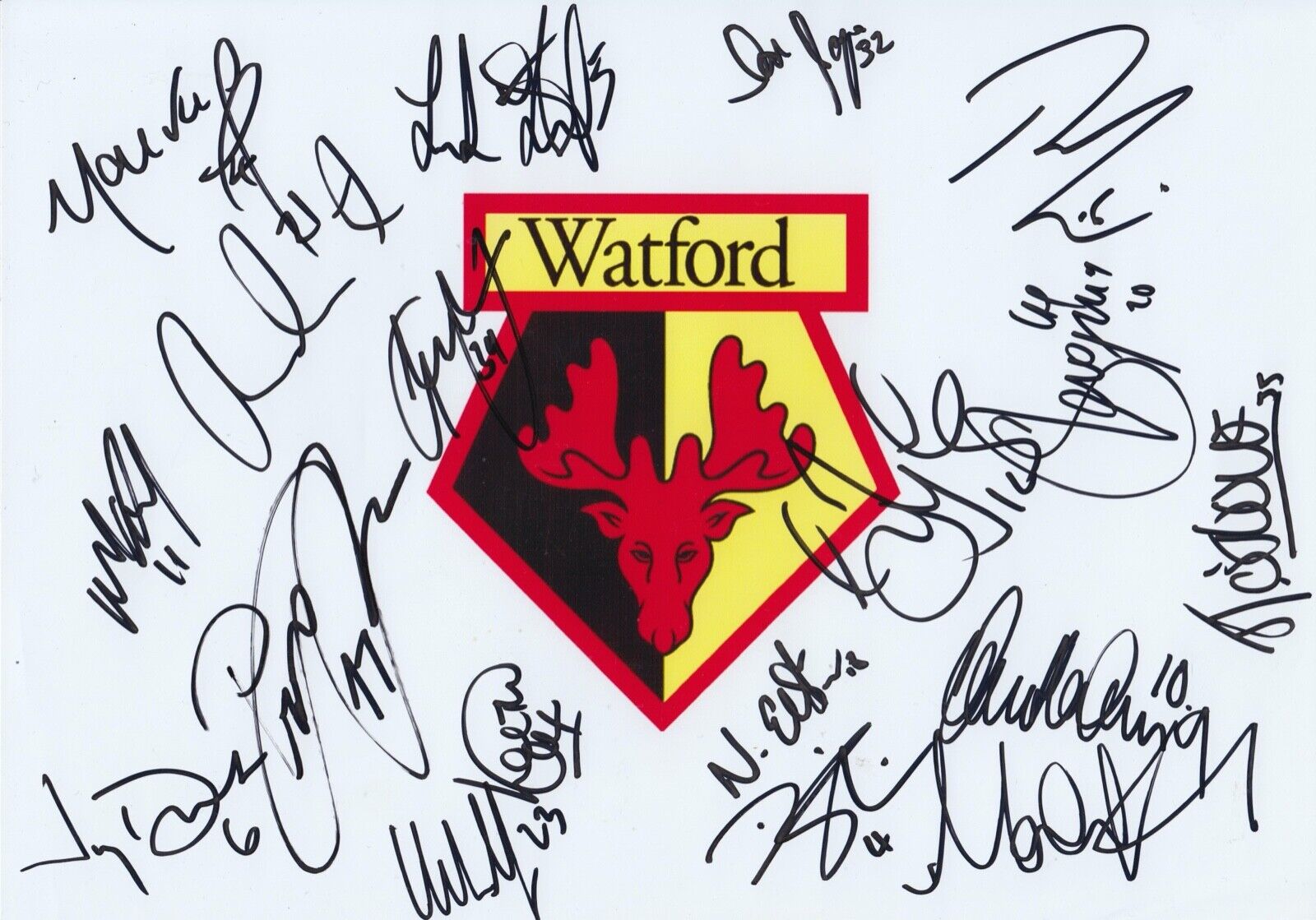 Watford FC Squad Signed Team Photo Poster painting - 18 Autographs - 07/08.