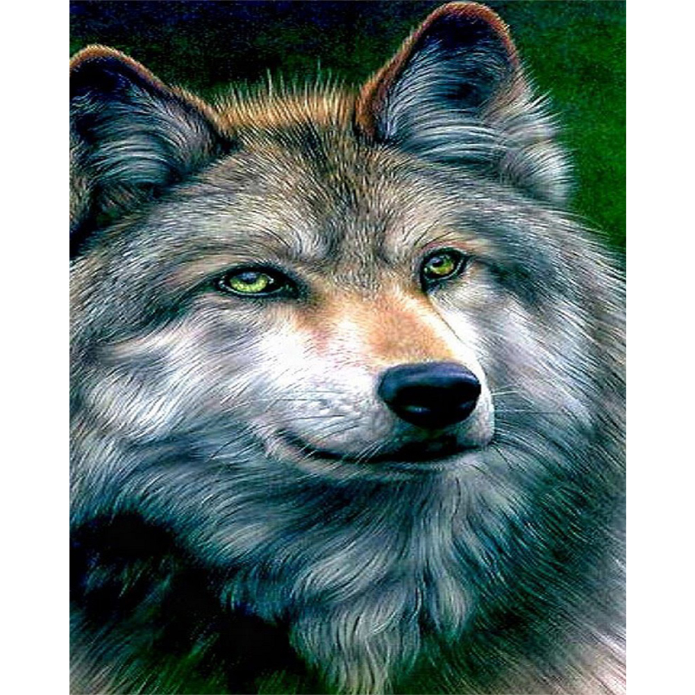 

Wolf - Round Drill Diamond Painting - 40*50CM, 501 Original