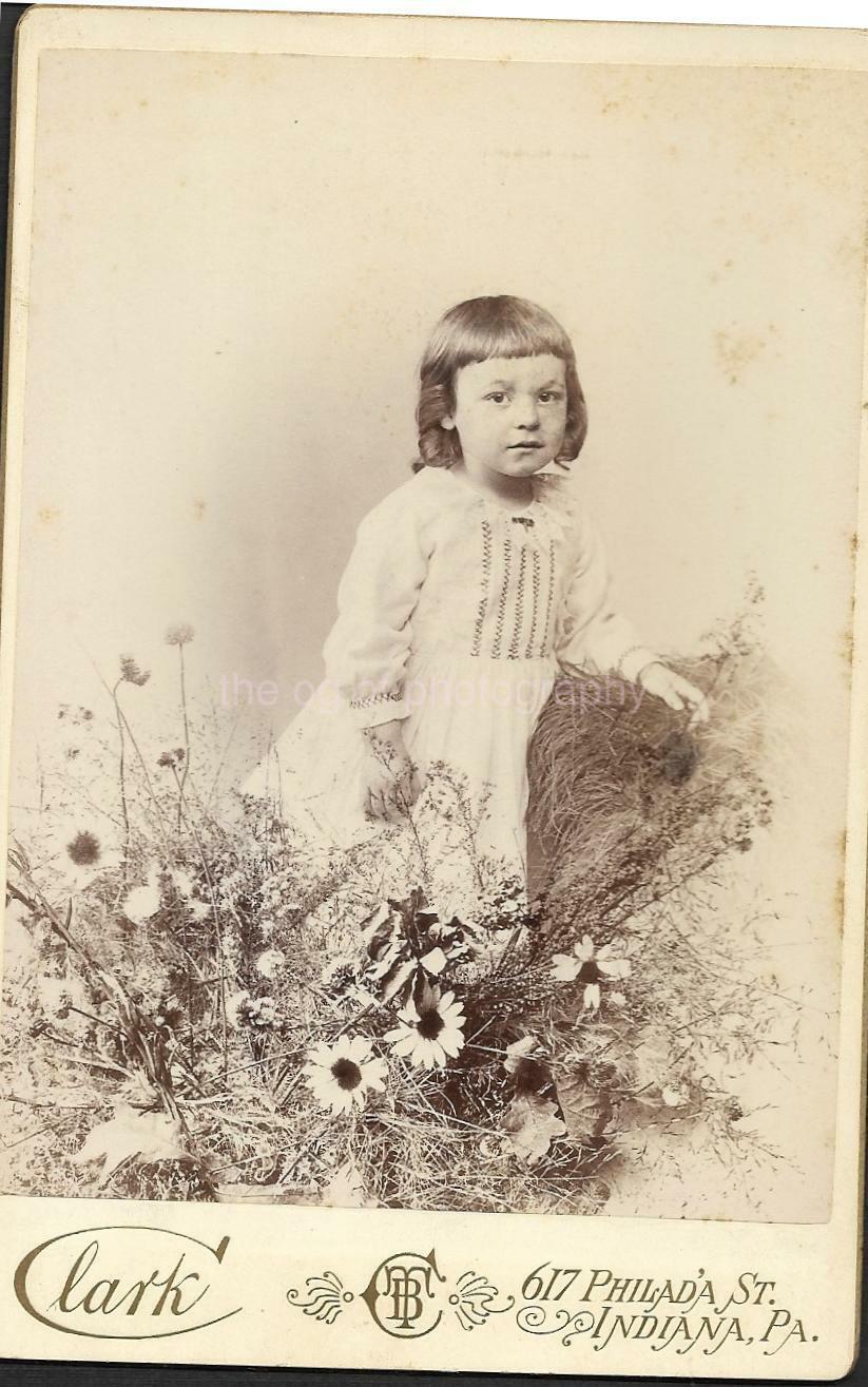CABINET CARD Flower Girl FOUND ANTIQUE Photo Poster painting Black And White ORIGINAL 18 31 G