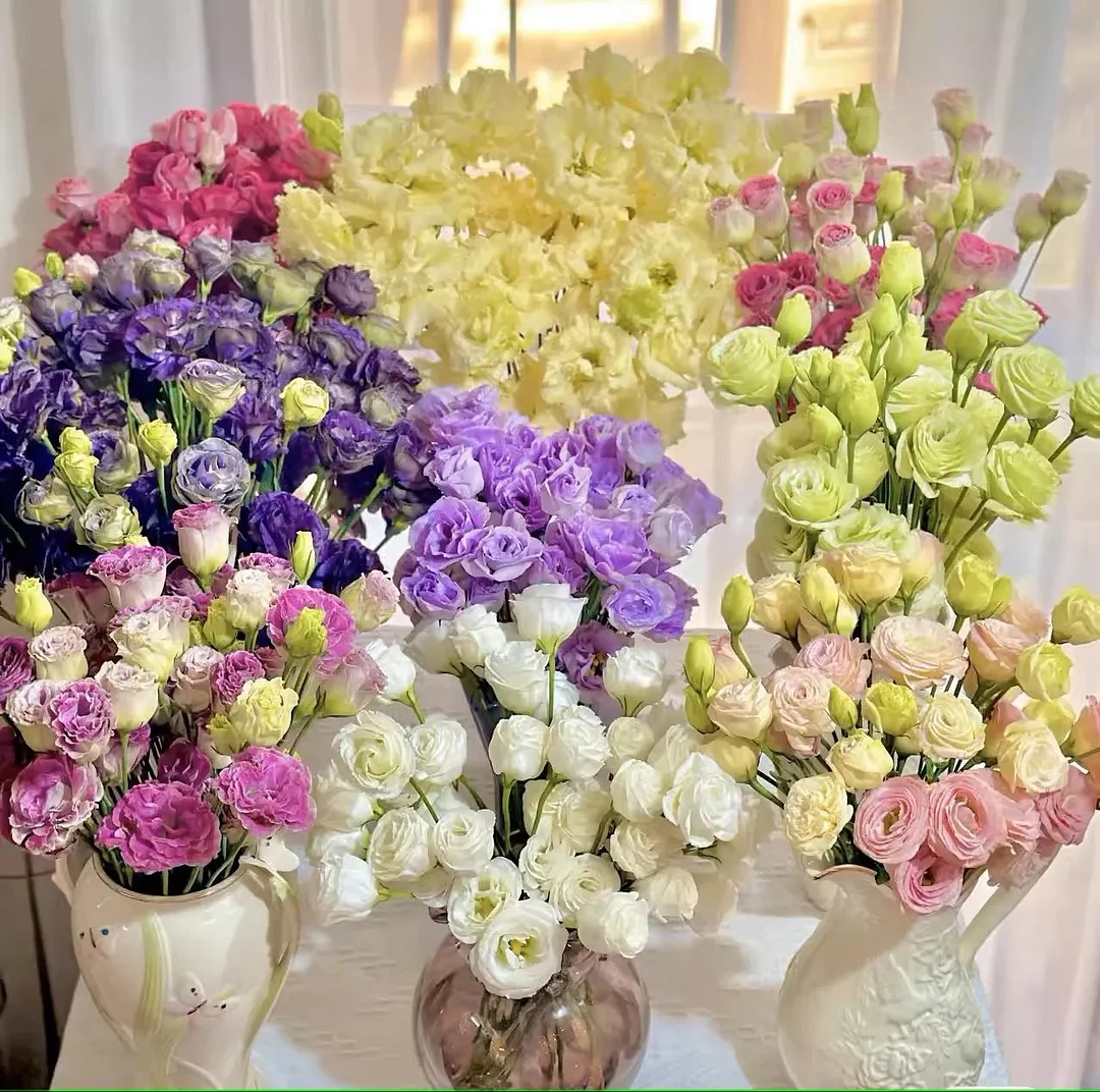 Premium Lisianthus Seeds – Grow Elegant, Long-Lasting Blooms in Your Garden