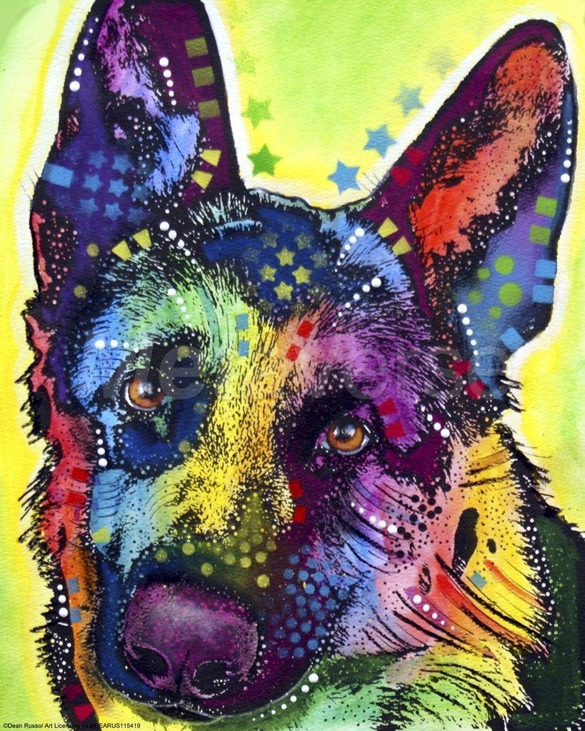 DIY Painting By Numbers | Colorful dog