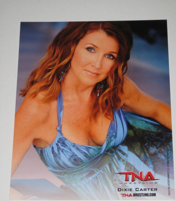 TNA DIXIE CARTER P-52 OFFICIAL LICENSED 8X10 WRESTLING PROMO Photo Poster painting