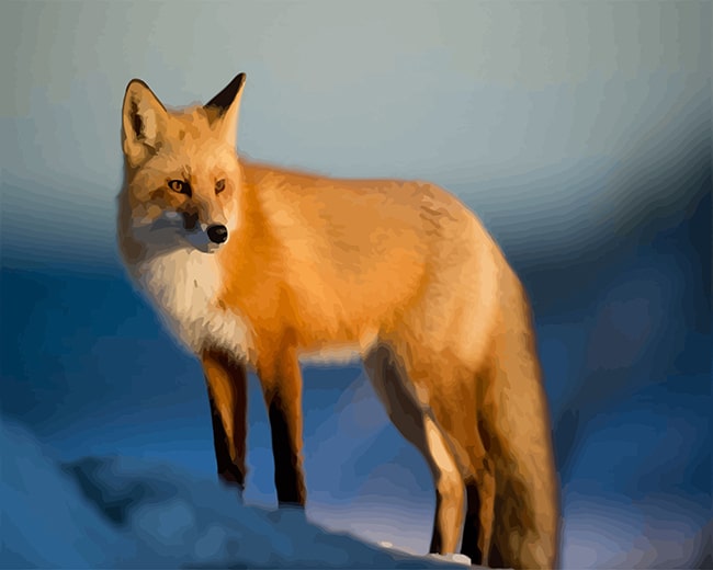 

Fox In Snow – Paint By Numbers - 40*50CM, 501 Original
