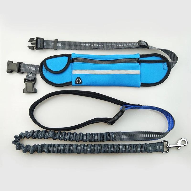 Buddy Bungee Dog Leash | 168DEAL