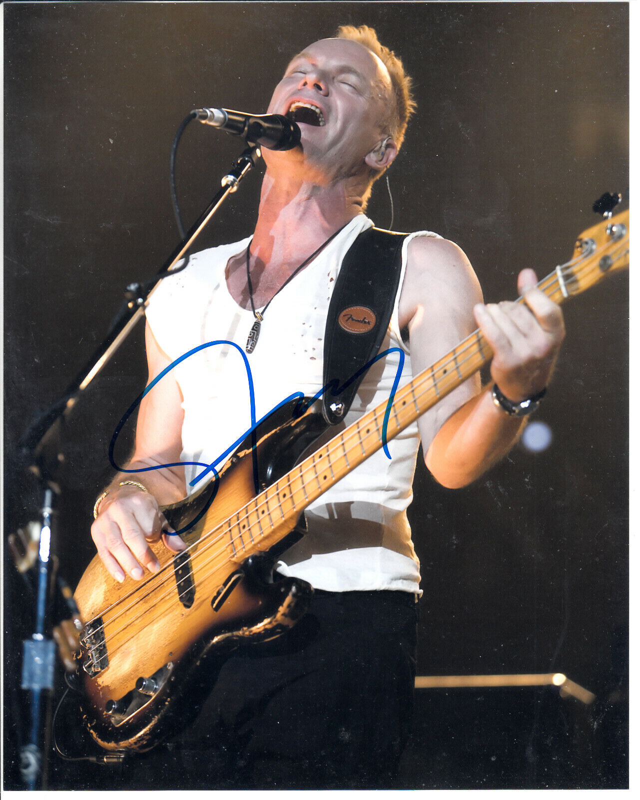 STING English musician, singer, songwriter & actor Autograph Signed 8x10