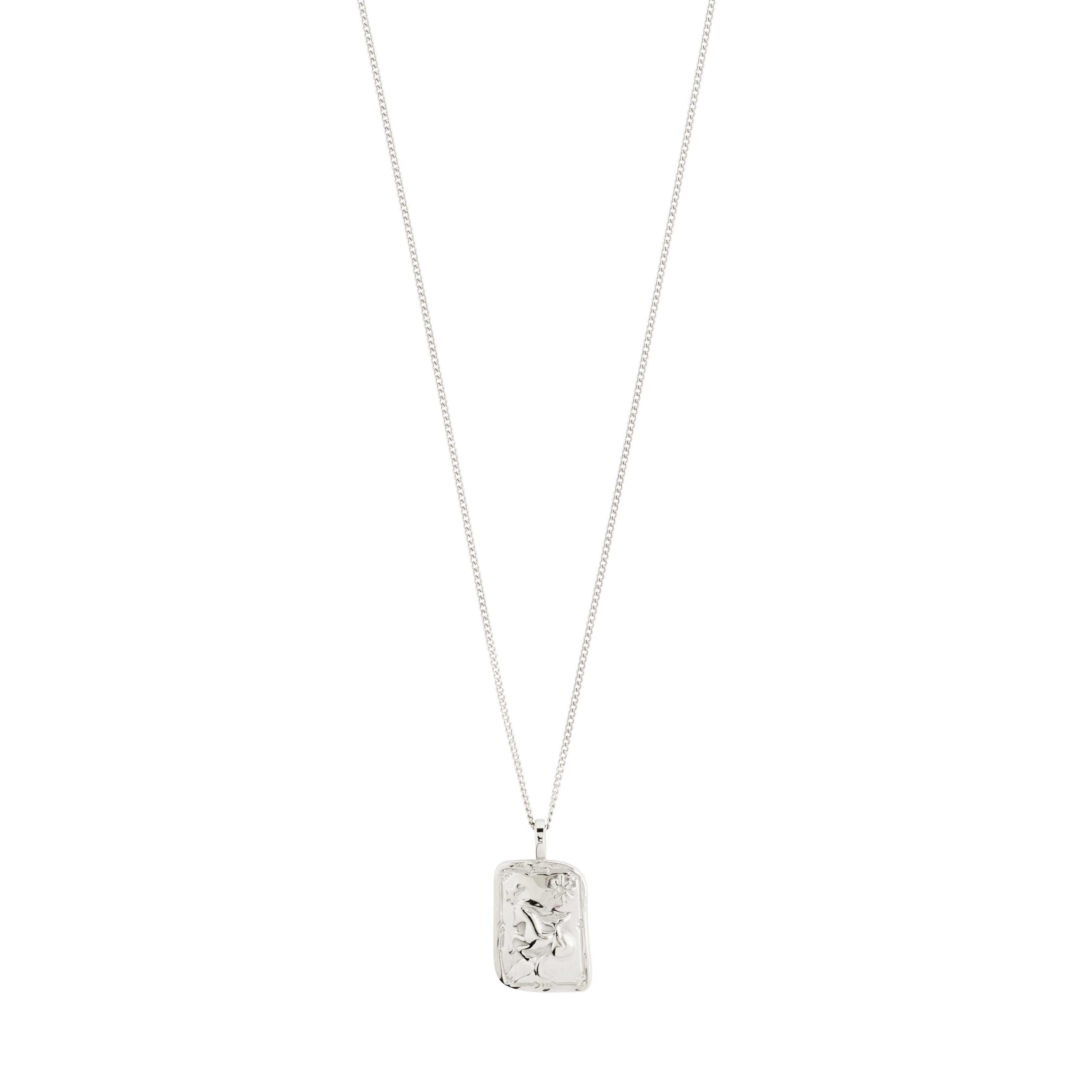 CAPRICORNUS Zodiac Sign necklace, silver-plated