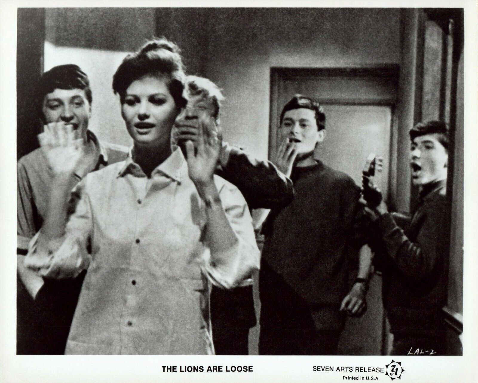 CLAUDIA CARDINALE Actress 1961 Movie Vintage 8x10 Photo Poster painting THE LIONS ARE LOOSE