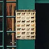 Breeds Of Cattle - Metal Tin Signs(8*12Inch/12*16Inch) - Animal