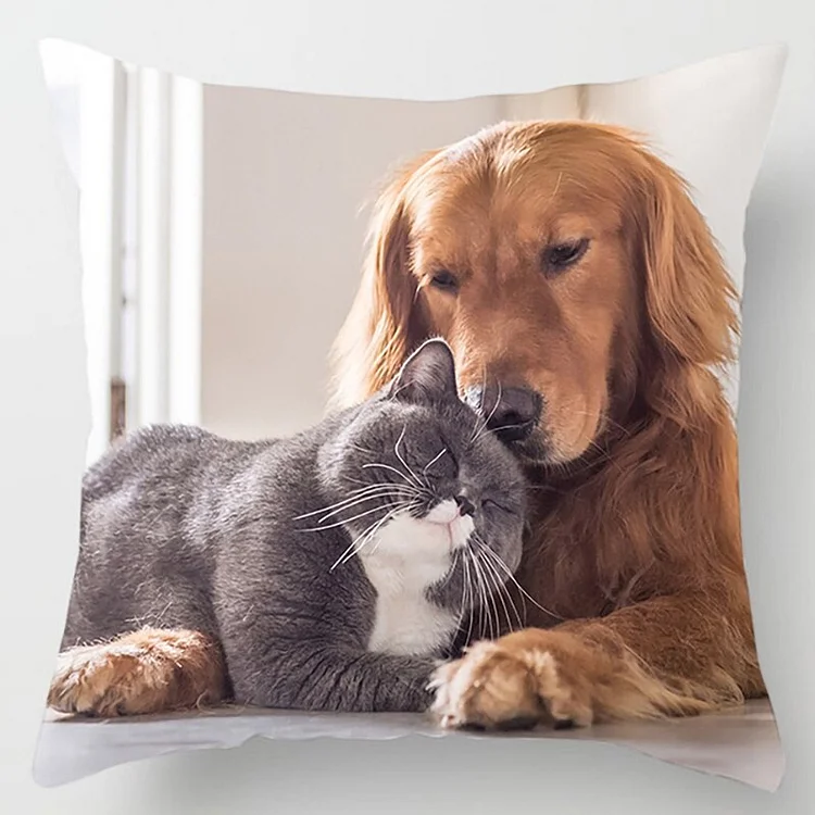 18X18 Inch Cat Collection Pillowcase Home and Office Decor Square Pillowcase