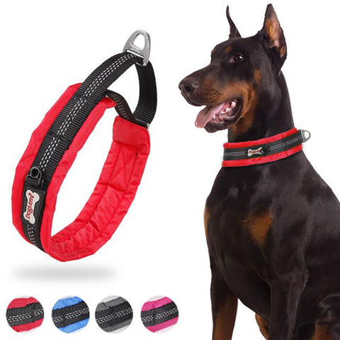 Martingale dog collar
