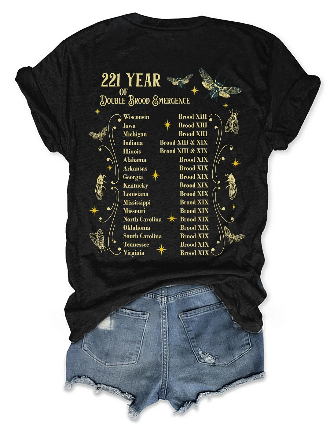 The Cicadas Reunion Tour Summer 2024 T-shirt
