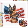 Diamond Painting -DIY Full Square Drill USA Memorial Day(35x35cm)