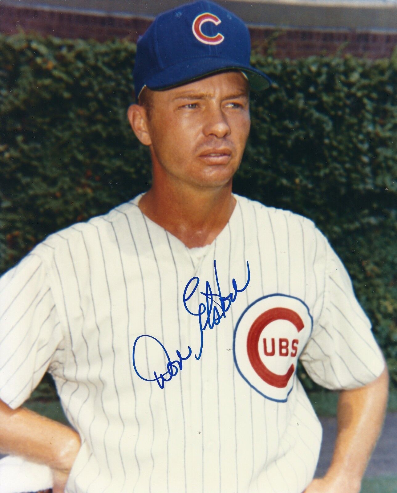 Signed 8x10 DON ELSTON Chicago Cubs Autographed Photo Poster painting- COA