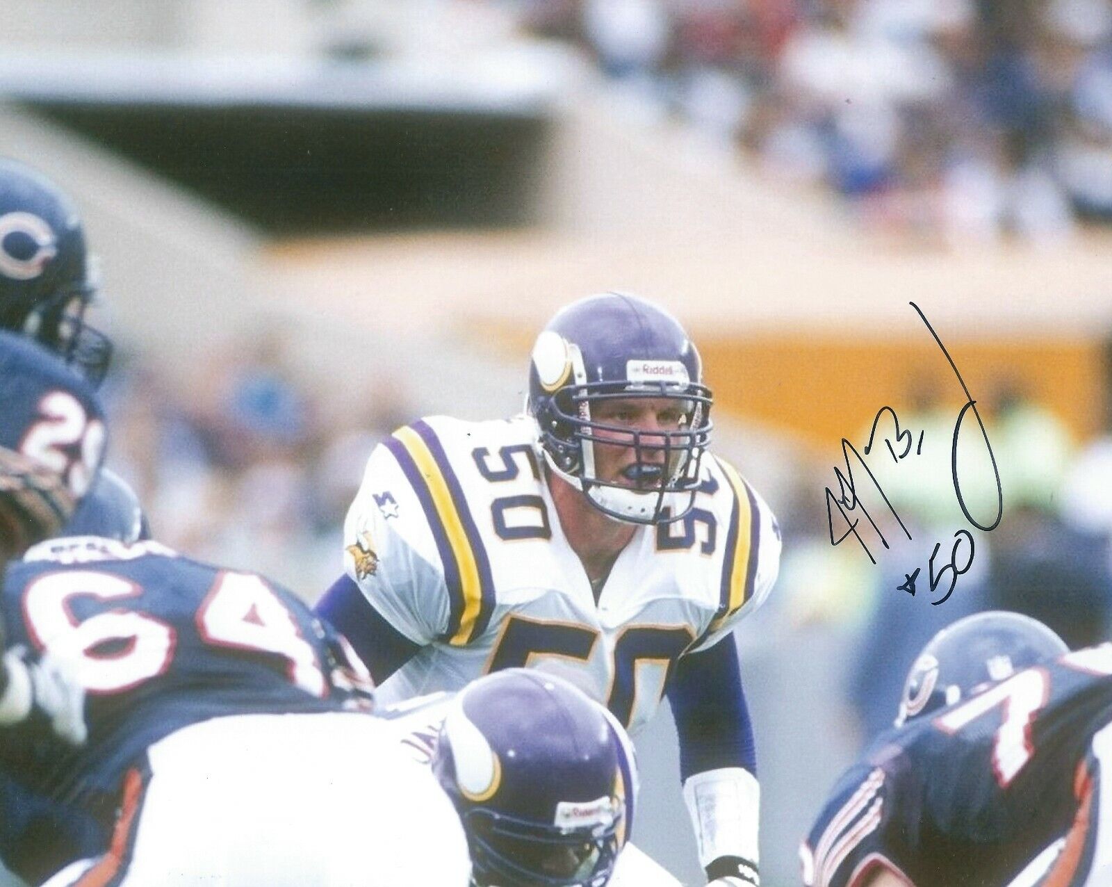 Signed 8x10 JEFF BRADY Minnesota Vikings Autographed Photo Poster painting - w/COA