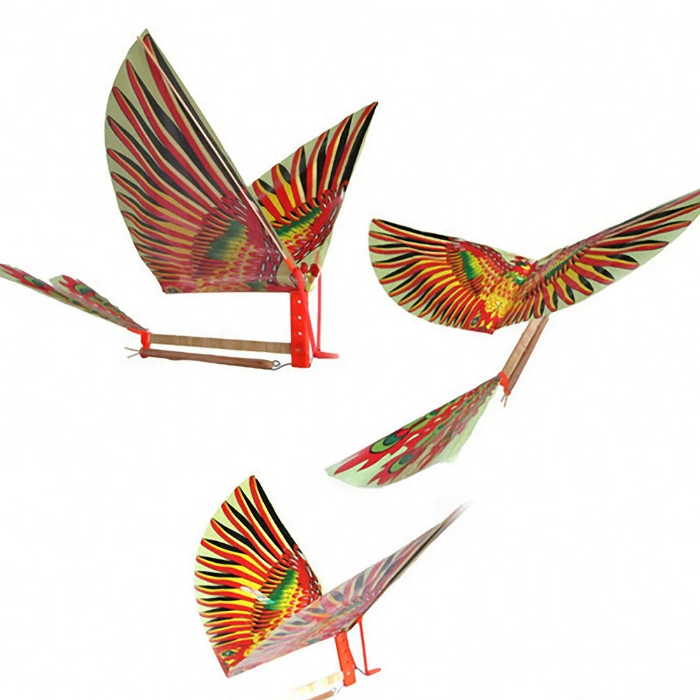 Hand Throwing Birds | IFYHOME